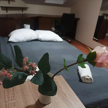 Apartment Central Aparthotel Near Opera Budapest